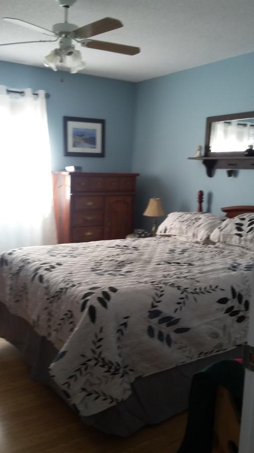Aggie'S B&B Bonavista Room photo